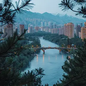sr ssr是什么含义